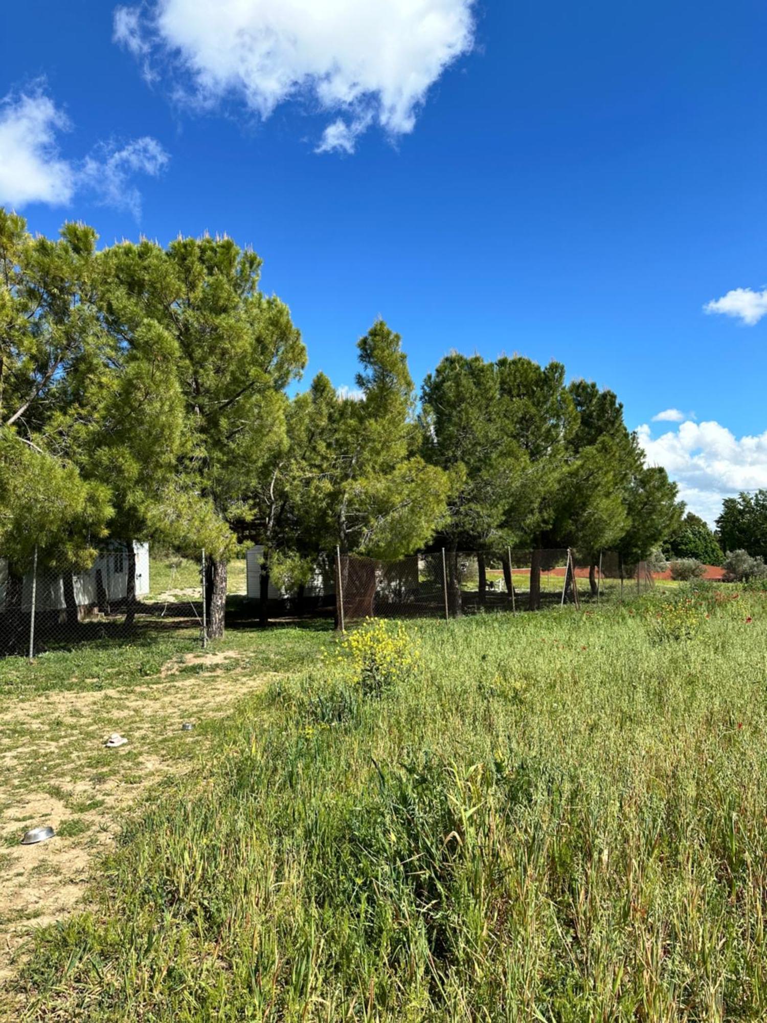 Bungalow Infanta Torrelaguna Екстериор снимка