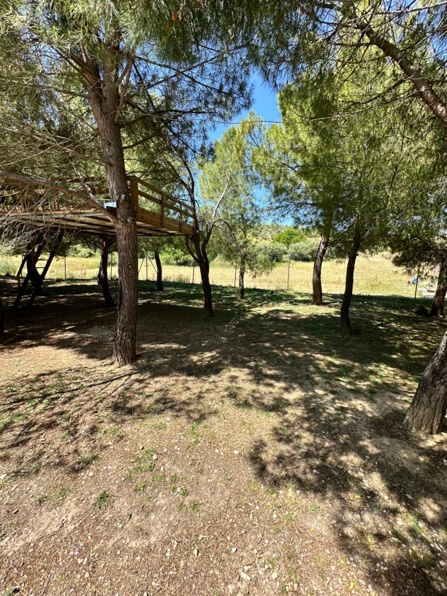 Bungalow Infanta Torrelaguna Екстериор снимка