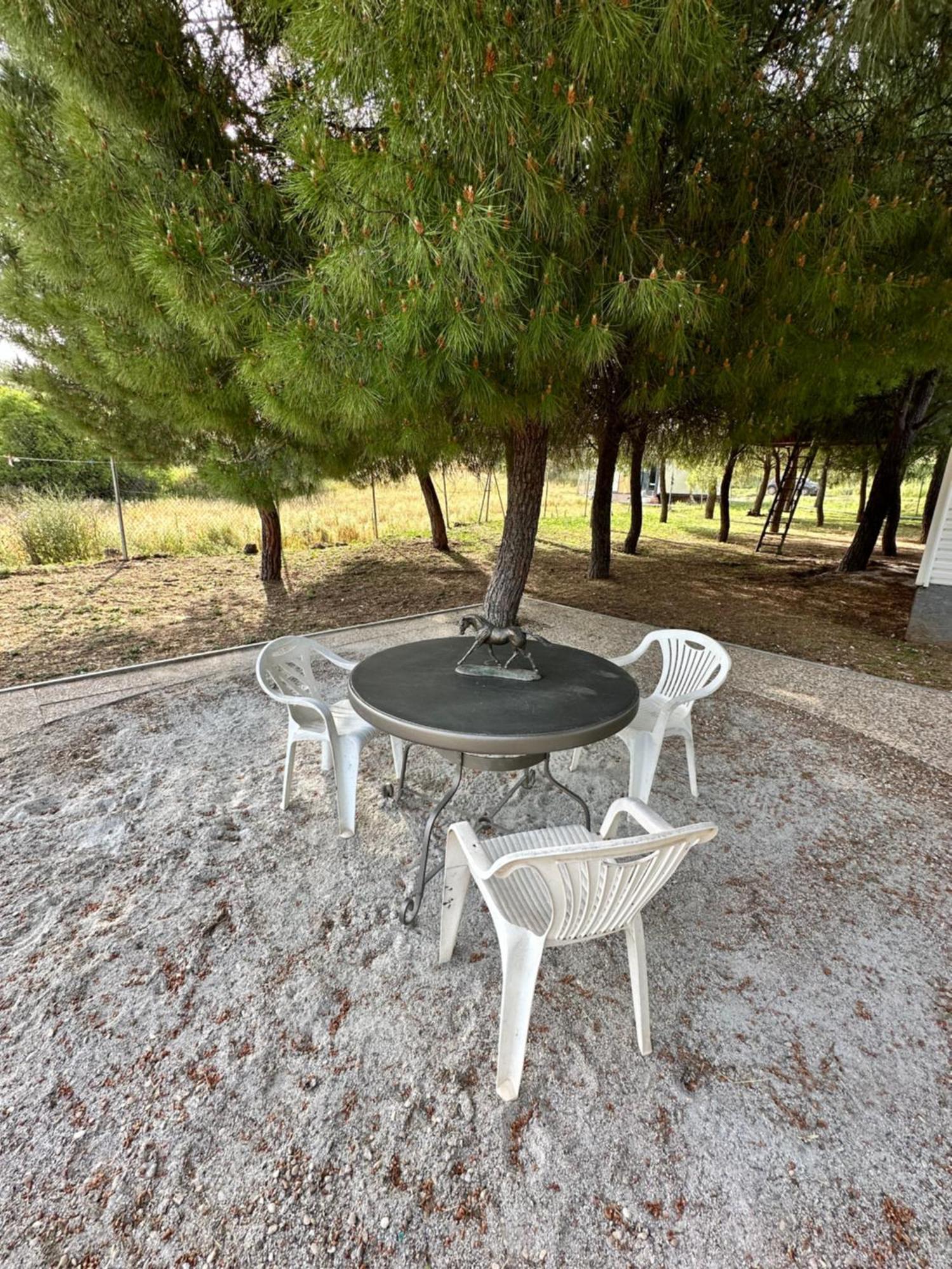 Bungalow Infanta Torrelaguna Екстериор снимка